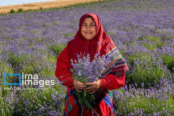 ایران زیباست | مزرعه گردشگری «سبزینه»