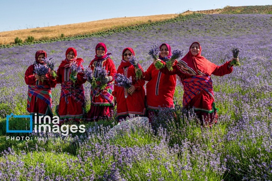 ایران زیباست | مزرعه گردشگری «سبزینه»