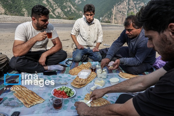 گزارش تصویری | «جاده چالوس» گذرگاه بهاری عشایر