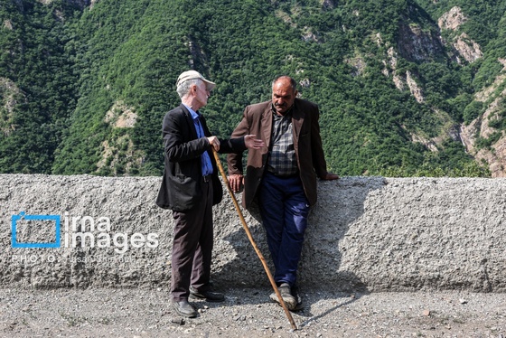 گزارش تصویری | «جاده چالوس» گذرگاه بهاری عشایر