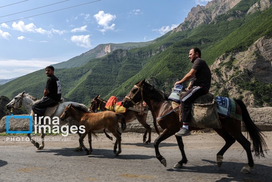 گزارش تصویری | «جاده چالوس» گذرگاه بهاری عشایر