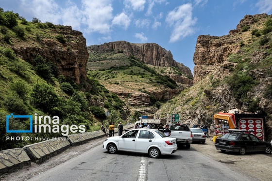 گزارش تصویری | «جاده چالوس» گذرگاه بهاری عشایر