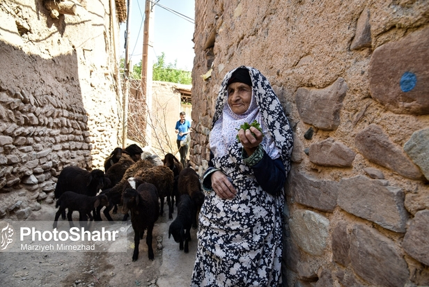 قصه عروسک‌های بی چهره روستای حاجی بیگی و ایجاد سبک جدیدی از گردشگری