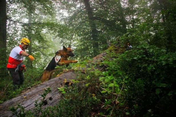 جزئیات گم شدن سها رضانژاد، دختر طبیعت‌گرد در کردکوی + تصاویر