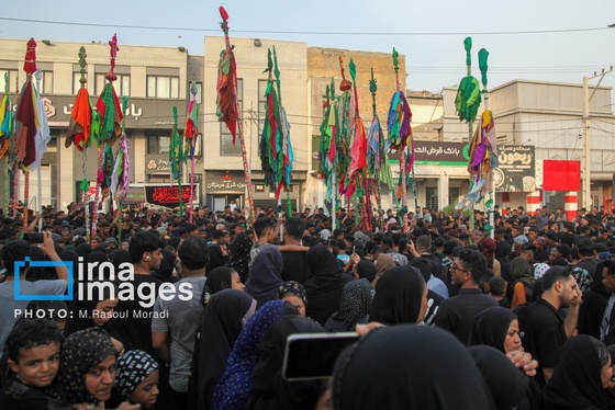 محرم ۱۴۰۴ | عکس‌هایی از آیین سنتی «عَلَم پیغمبر» در میناب