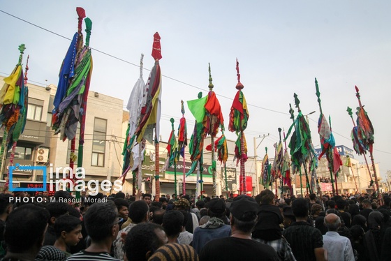 محرم ۱۴۰۴ | عکس‌هایی از آیین سنتی «عَلَم پیغمبر» در میناب