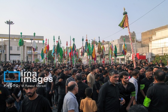 محرم ۱۴۰۴ | عکس‌هایی از آیین سنتی «عَلَم پیغمبر» در میناب