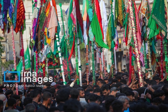 محرم ۱۴۰۴ | عکس‌هایی از آیین سنتی «عَلَم پیغمبر» در میناب