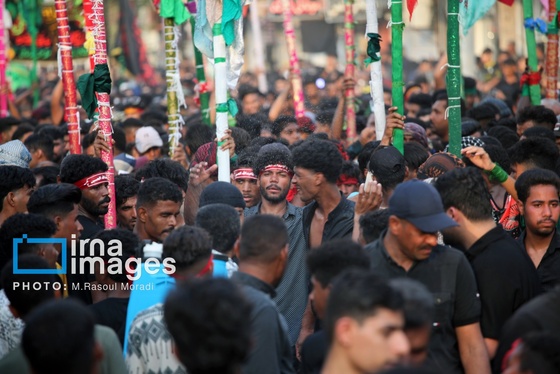 محرم ۱۴۰۴ | عکس‌هایی از آیین سنتی «عَلَم پیغمبر» در میناب