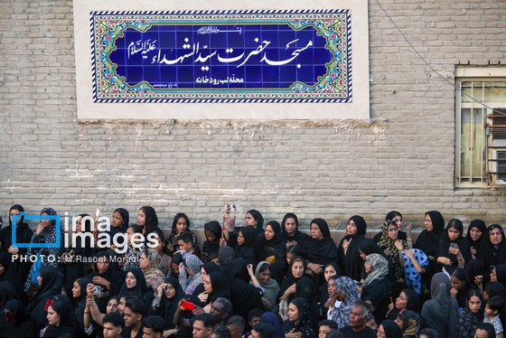 محرم ۱۴۰۴ | عکس‌هایی از آیین سنتی «عَلَم پیغمبر» در میناب