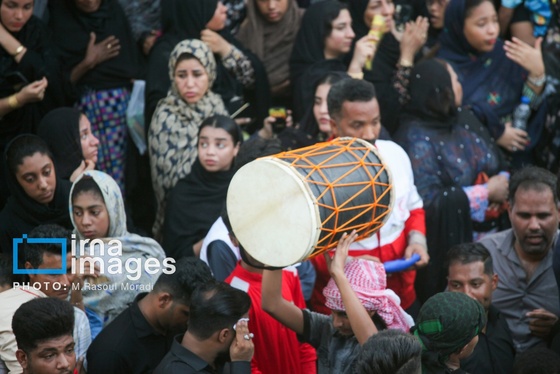 محرم ۱۴۰۴ | عکس‌هایی از آیین سنتی «عَلَم پیغمبر» در میناب