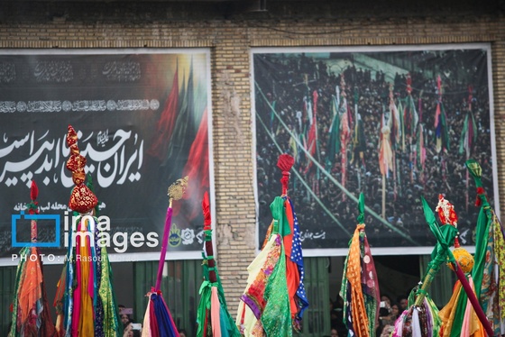محرم ۱۴۰۴ | عکس‌هایی از آیین سنتی «عَلَم پیغمبر» در میناب