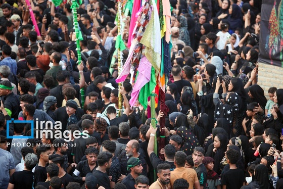 محرم ۱۴۰۴ | عکس‌هایی از آیین سنتی «عَلَم پیغمبر» در میناب