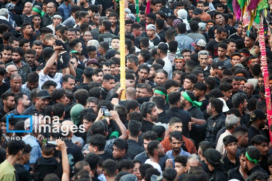محرم ۱۴۰۴ | عکس‌هایی از آیین سنتی «عَلَم پیغمبر» در میناب