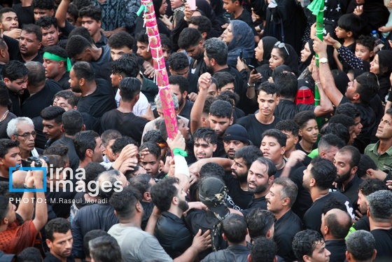محرم ۱۴۰۴ | عکس‌هایی از آیین سنتی «عَلَم پیغمبر» در میناب