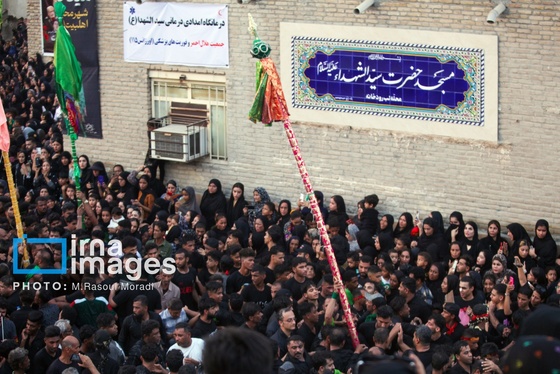 محرم ۱۴۰۴ | عکس‌هایی از آیین سنتی «عَلَم پیغمبر» در میناب