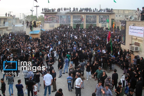 محرم ۱۴۰۴ | عکس‌هایی از آیین سنتی «عَلَم پیغمبر» در میناب