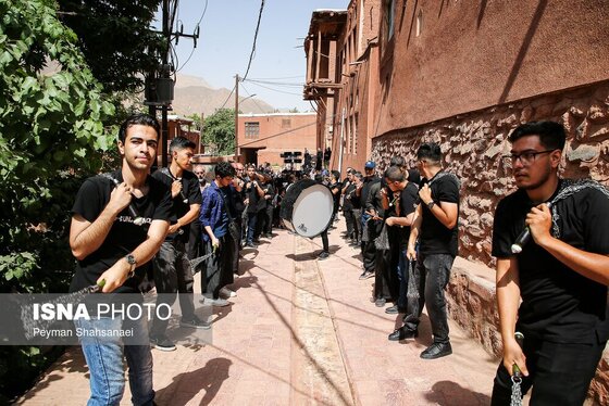 محرم ۱۴۰۴ | عکس‌هایی از نخل‌گردانی روز عاشورا در روستای تاریخی ابیانه - اصفهان