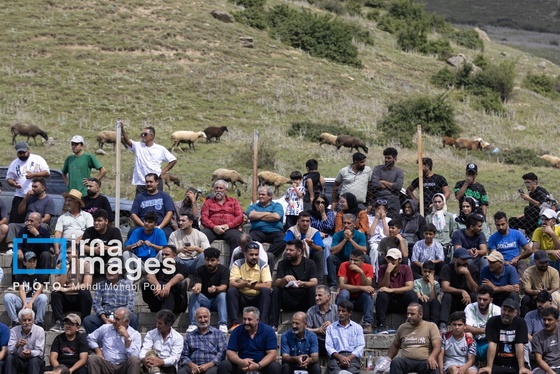 گزارش تصویری | مسابقات کشتی «لوچو»