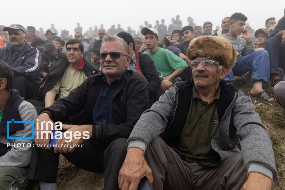 گزارش تصویری | مسابقات کشتی «لوچو»