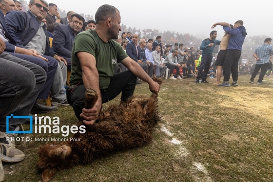 گزارش تصویری | مسابقات کشتی «لوچو»