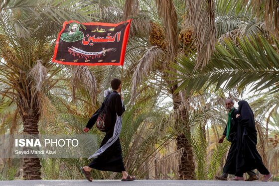قدم قدم تا حسین(ع) | پیاده روی زائران اربعین از مسیر طریق العلما
