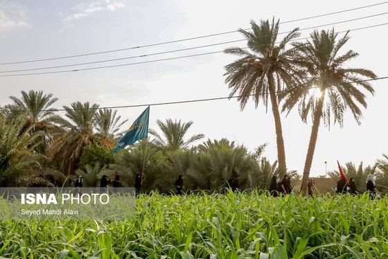 قدم قدم تا حسین(ع) | پیاده روی زائران اربعین از مسیر طریق العلما