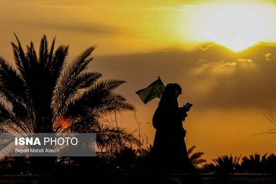 قدم قدم تا حسین(ع) | پیاده روی زائران اربعین از مسیر طریق العلما