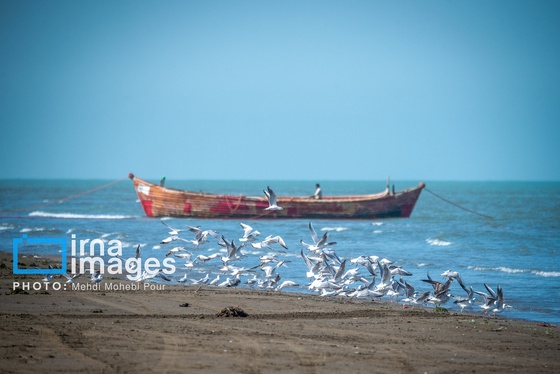گزارش تصویری | دریای خزر؛ نگین شمال