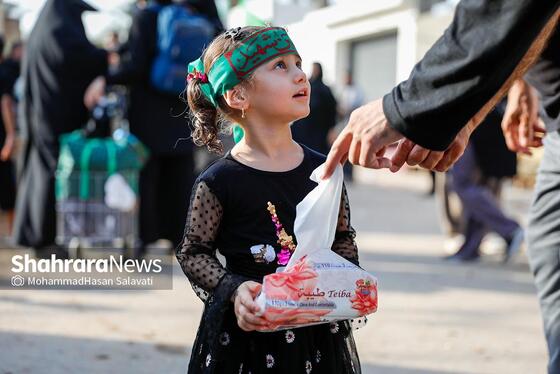 گزارش تصویری | زائران پیاده اربعین در طریق العلماء