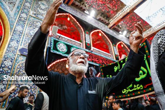 گزارش تصویری | اربعین حسینی در کربلای معلی_ ۱