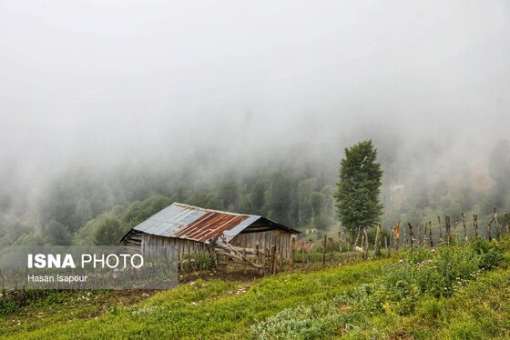 ایران زیباست | روستای «اِسپِرِز» سوادکوه بر فراز ابر‌ها
