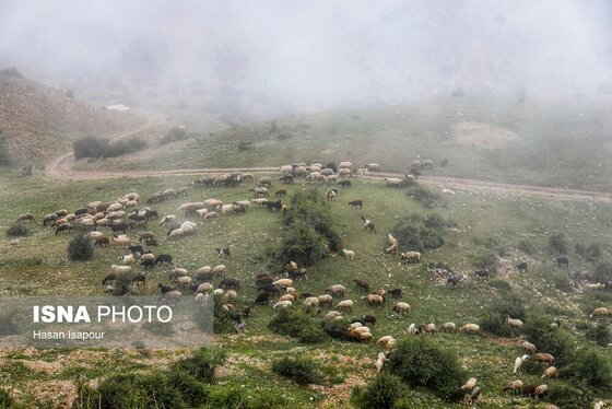 ایران زیباست | روستای «اِسپِرِز» سوادکوه بر فراز ابر‌ها