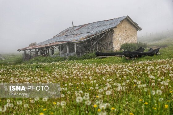 ایران زیباست | روستای «اِسپِرِز» سوادکوه بر فراز ابر‌ها