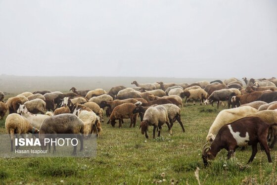 ایران زیباست | روستای «اِسپِرِز» سوادکوه بر فراز ابر‌ها