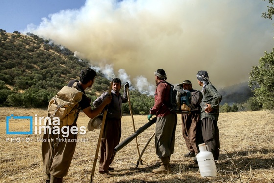 گزارش تصویری | آتش سوزی جنگل‌‌های بلوط مریوان