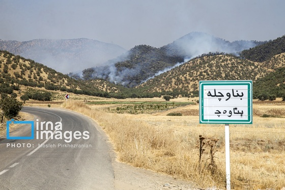 گزارش تصویری | آتش سوزی جنگل‌‌های بلوط مریوان