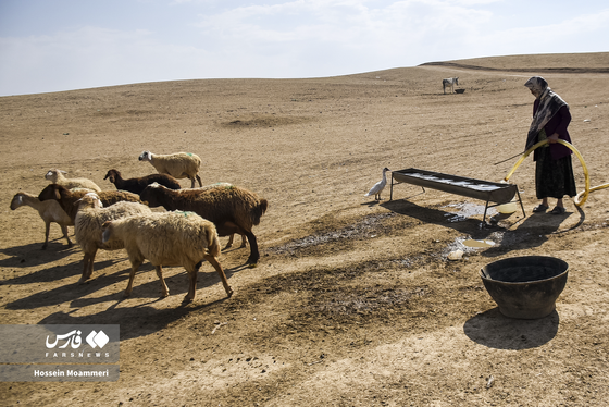 ایران زیباست | «عشایر کُرمانج»