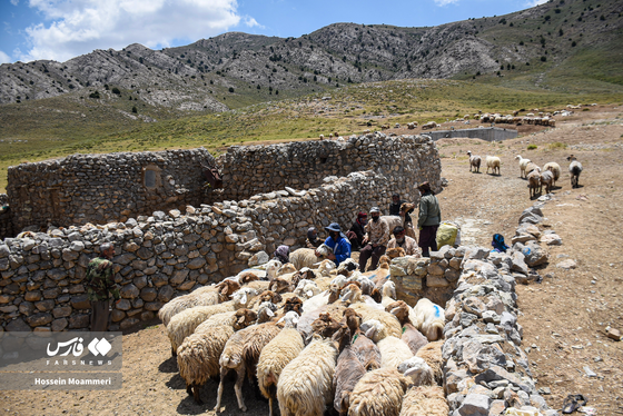 ایران زیباست | «عشایر کُرمانج»