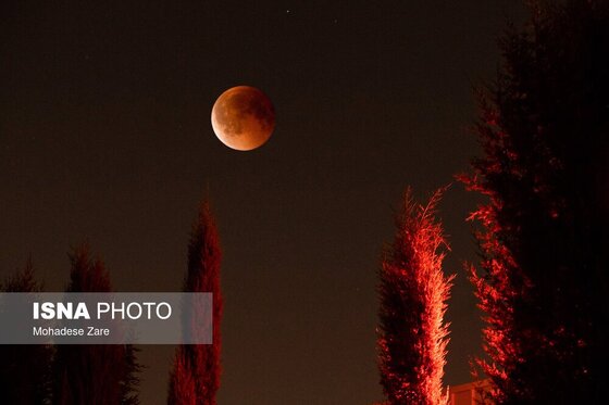 گزارش تصویری | ماه گرفتگی قرن - ایران