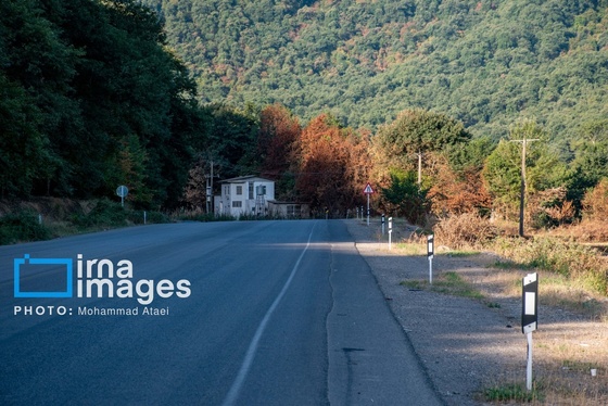 گزارش تصویری | خشکسالی در جنگل‌های هیرکانی گلستان