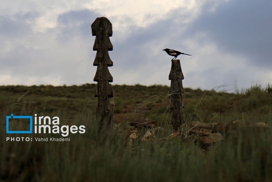 گزارش تصویری | قبرستان چوبی «باغلق»