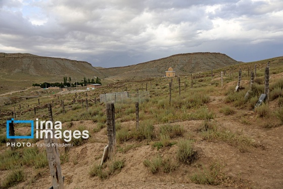 گزارش تصویری | قبرستان چوبی «باغلق»