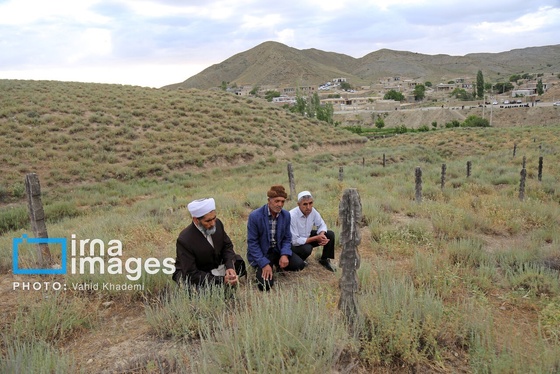 گزارش تصویری | قبرستان چوبی «باغلق»