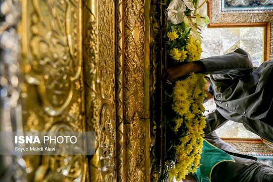 گزارش تصویری | گل آرایی ضریح حضرت معصومه (س) به مناسبت سالروز ورود ایشان به قم