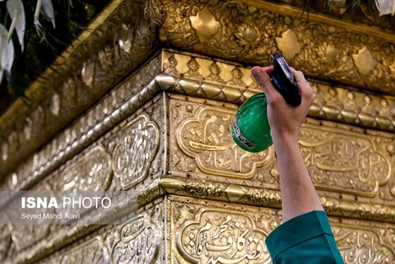 گزارش تصویری | گل آرایی ضریح حضرت معصومه (س) به مناسبت سالروز ورود ایشان به قم