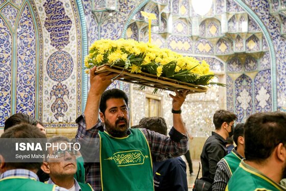گزارش تصویری | گل آرایی ضریح حضرت معصومه (س) به مناسبت سالروز ورود ایشان به قم