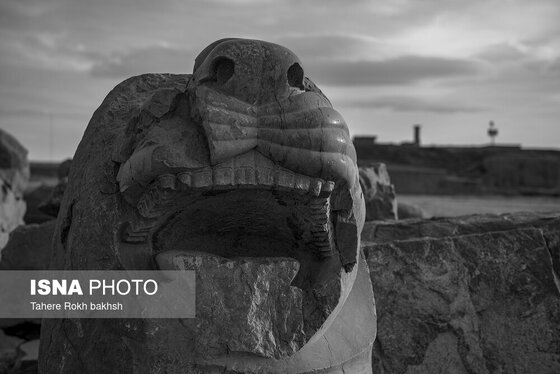 عکس‌های سیاه سفید از تخت جمشید