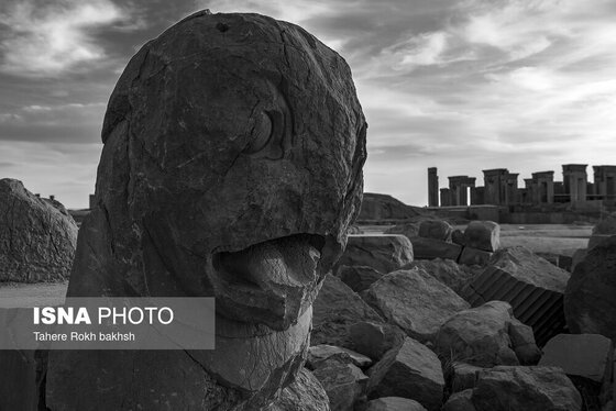 عکس‌های سیاه سفید از تخت جمشید