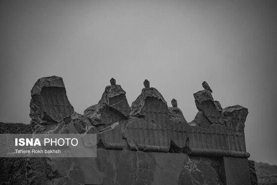عکس‌های سیاه سفید از تخت جمشید